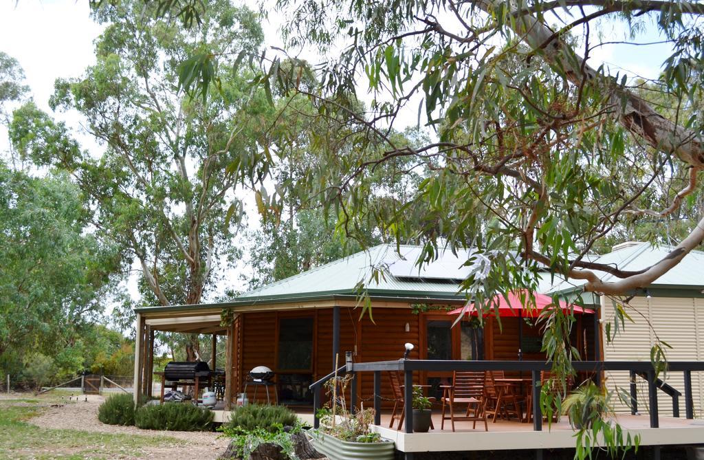 Bed and Breakfast Friends At Mclaren Vale Zewnętrze zdjęcie