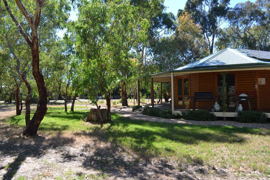 Bed and Breakfast Friends At Mclaren Vale Zewnętrze zdjęcie